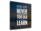 Moderan slika na platnu s motivom You are never too old, okean, planine, nebo, plaža u belih nijansama, priroda i mudrost, pogodan za kancelarije – proizvod