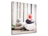 Klasičan slika na platnu s motivom FENG SHUI, cveće, priroda u belo-bežih nijansama, mirna atmosfera, priroda, pogodan za dnevnog boravka | Slika na platnu FENG SHUI_053-12 – proizvod