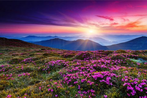 Seoski stil - Umetnost puna romantike i udobnosti