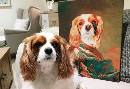 Životinjski portreti na platnu - savršene slike za celu porodicu