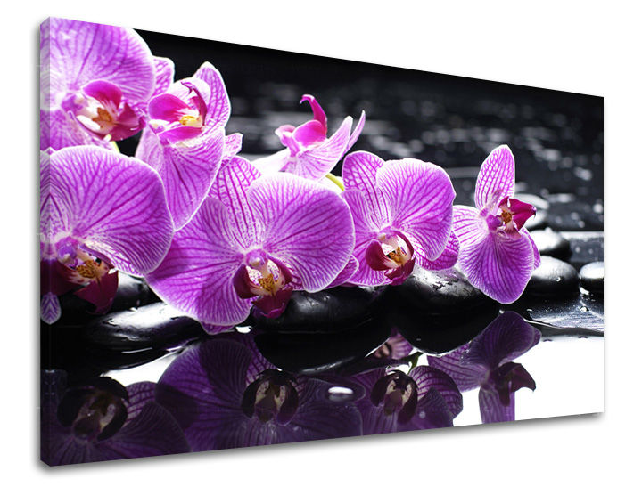 Zidna slika FENG ŠUI 100x150 cm