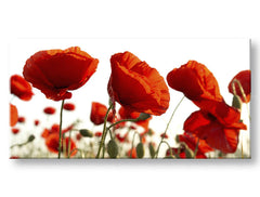 Panorama zidna slika CVEĆE 60k120 cm