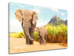 Zidna slika ŽIVOTINjE 40k60 cm