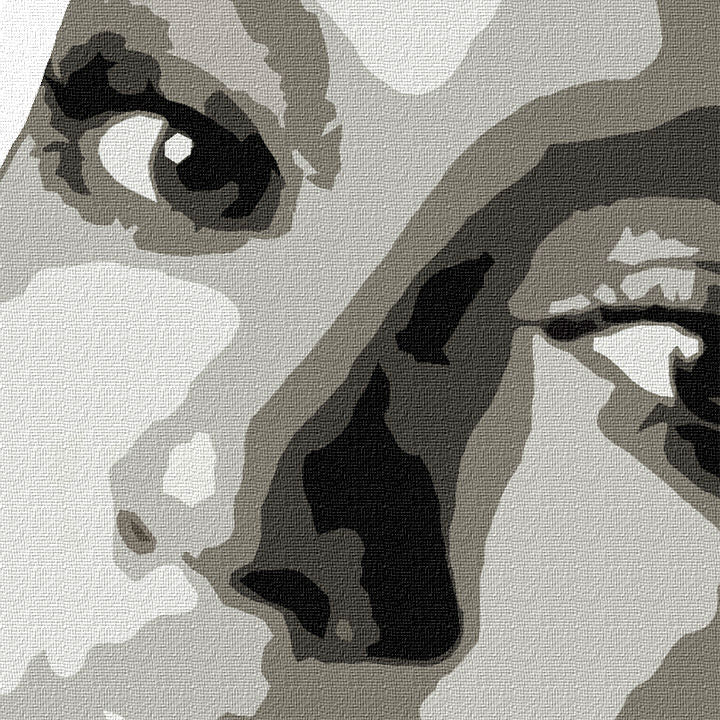 Ručno oslikana POP ART slika BEYONCÉ 60k60 cm