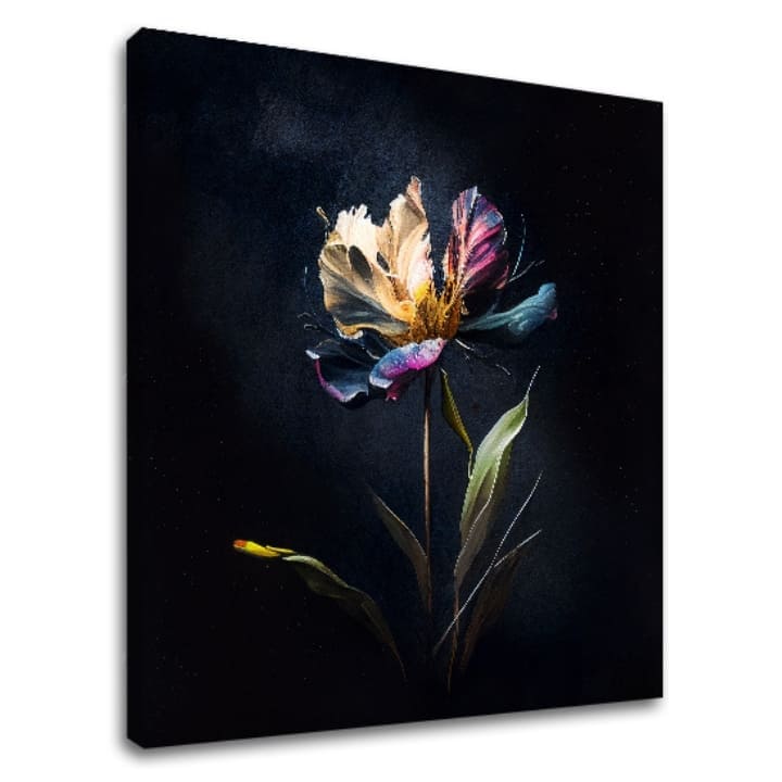 U boho stilu slika na platnu s motivom Tajomný cvet v noci, cvet, tulipan, lišće, cveće u krem-plavih nijansama, melanholična atmosfera – glavna