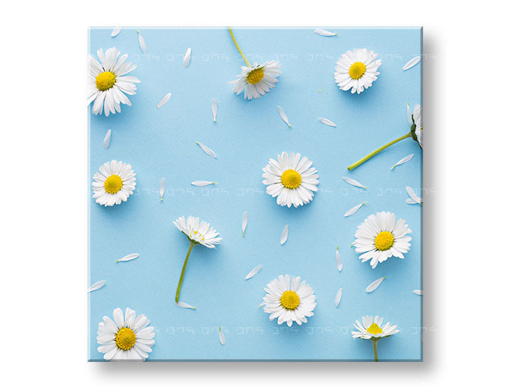 Klasičan slika na platnu s motivom BIELE CVEĆE, cveće, mapa, priroda u belo-plavih nijansama, vesela atmosfera, prolećna atmosfera i priroda, pogodan za radne sobe – glavna