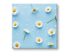 Klasičan slika na platnu s motivom BIELE CVEĆE, cveće, mapa, priroda u belo-plavih nijansama, vesela atmosfera, prolećna atmosfera i priroda, pogodan za radne sobe – glavna