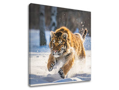 Zidno slikarstvo ŽIVOTINjE_048-12