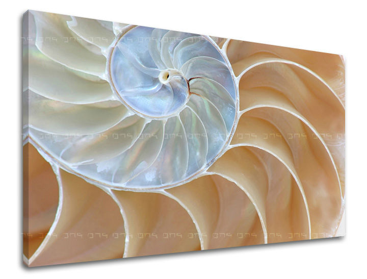 Zidno slikarstvo APSTRAKT AB092E11