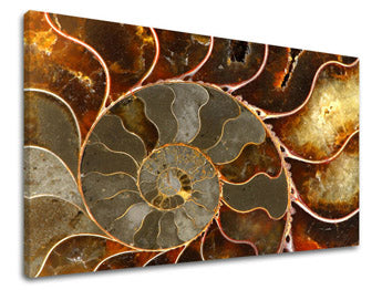 Zidno slikarstvo INSPIRACIJA IN041E11