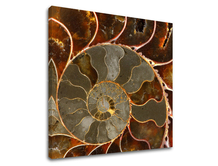 Zidno slikarstvo INSPIRACIJA IN041E12