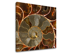 Zidno slikarstvo INSPIRACIJA IN041E12