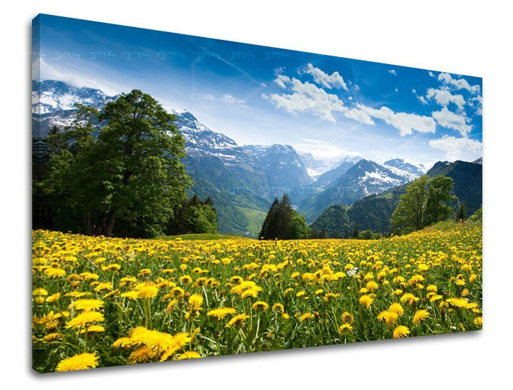 Zidno slikarstvo PEJZAŽ KR036E11