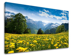 Zidno slikarstvo PEJZAŽ KR036E11