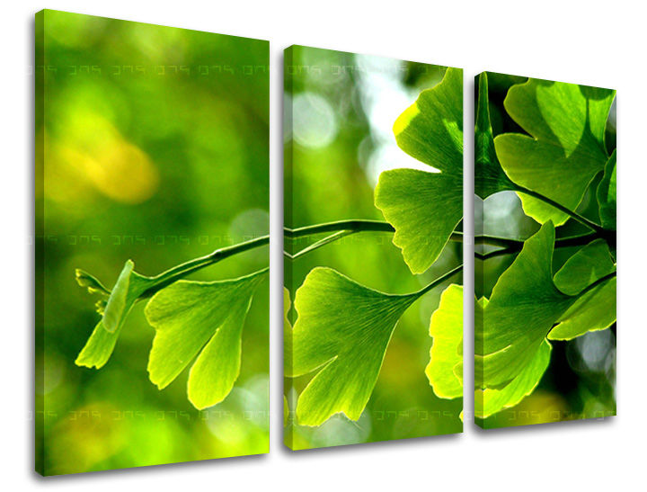 3-delna zidna slika RASTLINI RA020E30