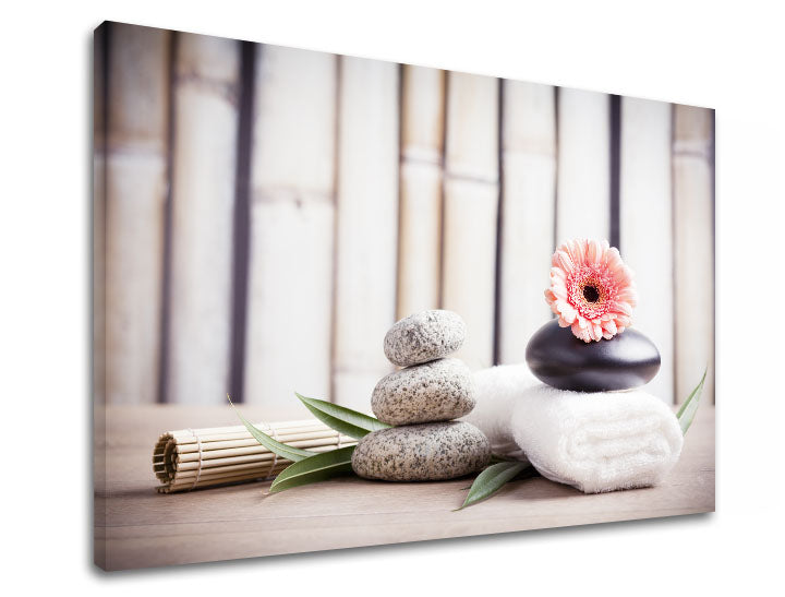 Klasičan slika na platnu s motivom FENG SHUI, bambus, cveće, priroda u bež-ružičastih nijansama, mirna atmosfera, priroda, pogodan za dnevnog boravka – proizvod