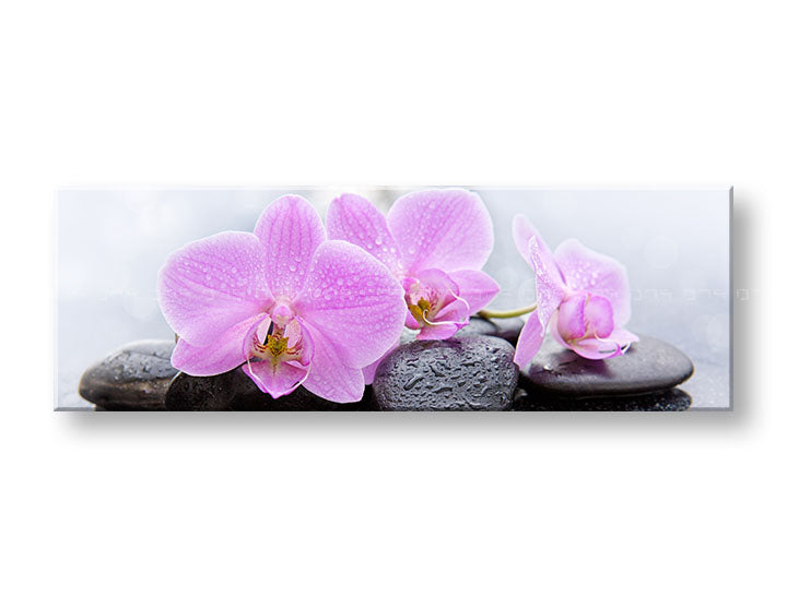 Klasičan slika na platnu s motivom FENG SHUI, cveće, priroda u belo-ružičastih nijansama, mirna atmosfera, priroda, pogodan za dnevnog boravka | Slika na platnu FENG SHUI_062-13 – glavna