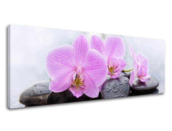 Klasičan slika na platnu s motivom FENG SHUI, cveće, priroda u belo-ružičastih nijansama, mirna atmosfera, priroda, pogodan za dnevnog boravka | Slika na platnu FENG SHUI_062-13 – proizvod
