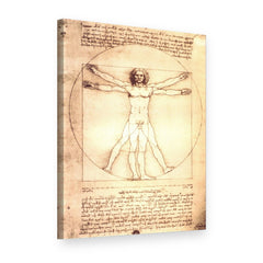 Slika na platnu Vitruvijev čovek – Leonardo da Vinči, 3D prikaz