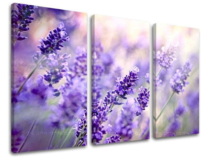 Geometrijski slika na platnu s motivom lavanda, cveće u belo-sivih nijansama, mirna atmosfera, priroda i prolećna atmosfera, trodelna izvedba – glavna