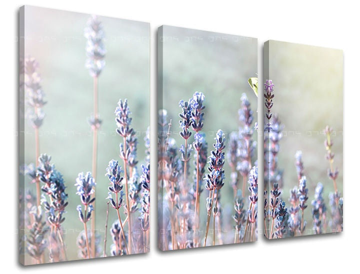 Geometrijski slika na platnu s motivom lavanda, cveće, polje, leptir u belo-bežih nijansama, mirna atmosfera, priroda i prolećna atmosfera – glavna
