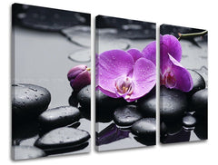 Art deko slika na platnu s motivom FENG SHUI, orhideja, pejzaž, priroda u ljubičasto-crnih nijansama, mirna atmosfera, priroda, pogodan za dnevnog boravka – glavna