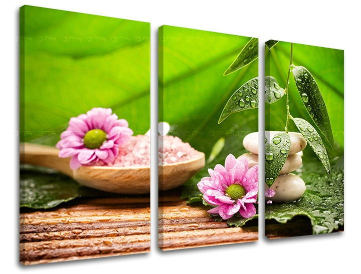 Klasičan slika na platnu s motivom FENG SHUI, priroda u belo-ružičastih nijansama, mirna atmosfera, priroda, pogodan za dnevnog boravka | Slika za zid FENG SHUI – glavna