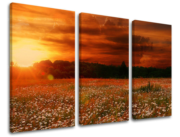 Klasičan slika na platnu s motivom polje, drveće, nebo, zalazak sunca, pejzaž u zeleno-crvenih nijansama, topla atmosfera, priroda i mirna atmosfera – glavna