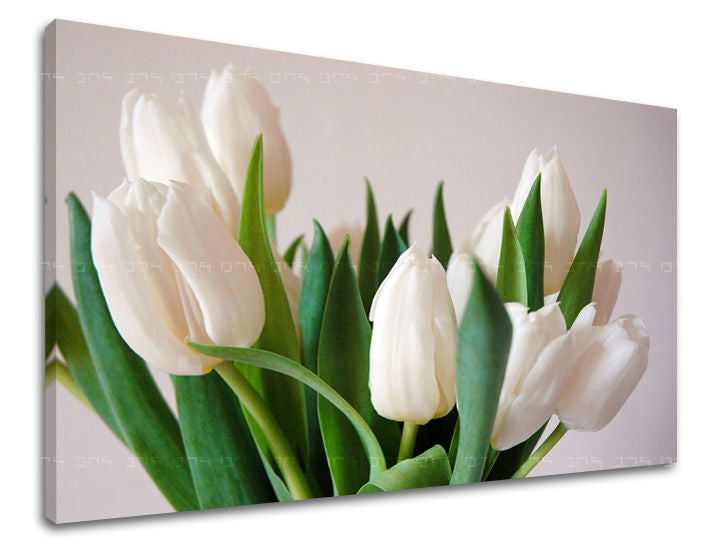 obraz-na-stenu-kvety-tulipany-SK-XOBKV108E11-0.jpg