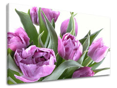 obraz-na-stenu-kvety-tulipany-SK-XOBKV131E11-0.jpg
