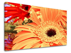 Pop art slika na platnu s motivom cveće, priroda u belo-narandžastih nijansama, vesela atmosfera, priroda i prolećna atmosfera, pogodan za radne sobe – glavna