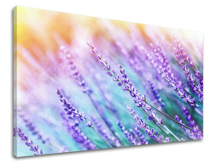 Klasičan slika na platnu s motivom lavanda, cveće, pejzaž, priroda, životinja u ljubičasto-narandžastih nijansama, mirna atmosfera, pogodan za spavaće sobe – glavna