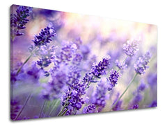 Geometrijski slika na platnu s motivom lavanda, cveće, polje, dečji motiv, mapa u belo-sivih nijansama, mirna atmosfera, priroda, trodelna izvedba – glavna