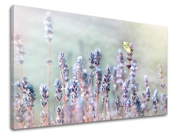 Klasičan slika na platnu s motivom lavanda, leptir, cveće, mapa, životinja u ljubičasto-zelenih nijansama, mirna atmosfera, priroda i prolećna atmosfera – glavna