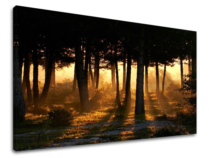 Klasičan slika na platnu s motivom šuma, drveće, stazica, izmaglica, dečji motiv u smeđe-zelenih nijansama, mirna atmosfera, priroda i samoća – glavna