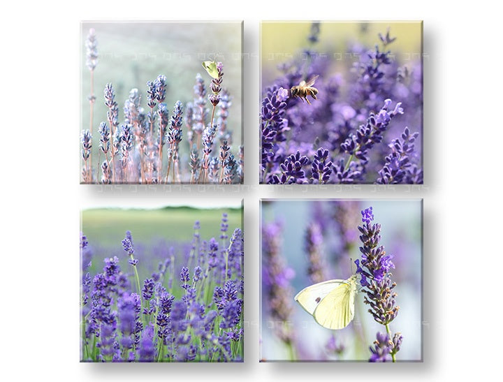 Kolaž slika s motivom Lavender dream, lavanda, leptir u ljubičasto-zelenih nijansama | Slika za zid Lavender dream, priroda i prolećna atmosfera – pregled