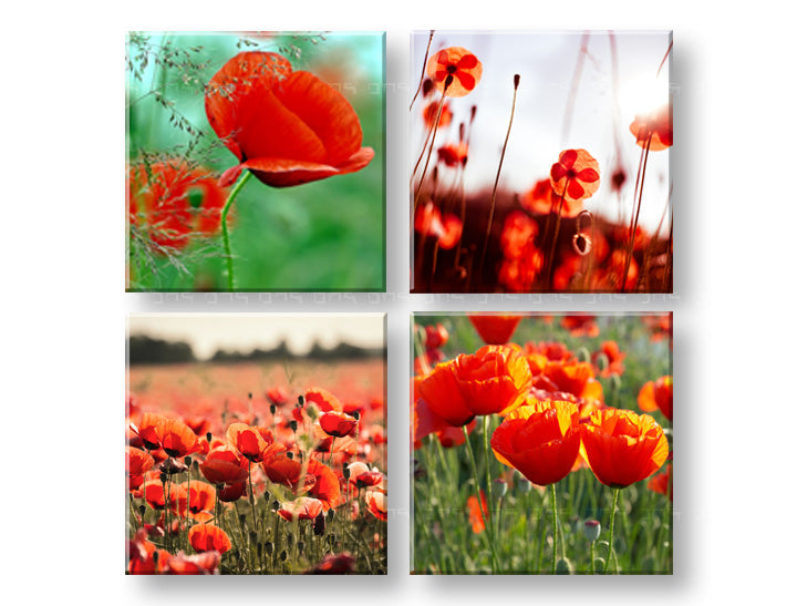 Kolaž slika na platnu s motivom Meadow of poppy poppies, makovi, cveće, polje, mapa u zeleno-crvenih nijansama, živahna atmosfera, pogodan za kuhinje – glavna