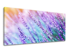 Klasičan slika s motivom PANORAMA CVEĆE, lavanda, cveće u ljubičasto-plavih nijansama | Slika za zid PANORAMA CVEĆE, priroda i prolećna atmosfera – pregled