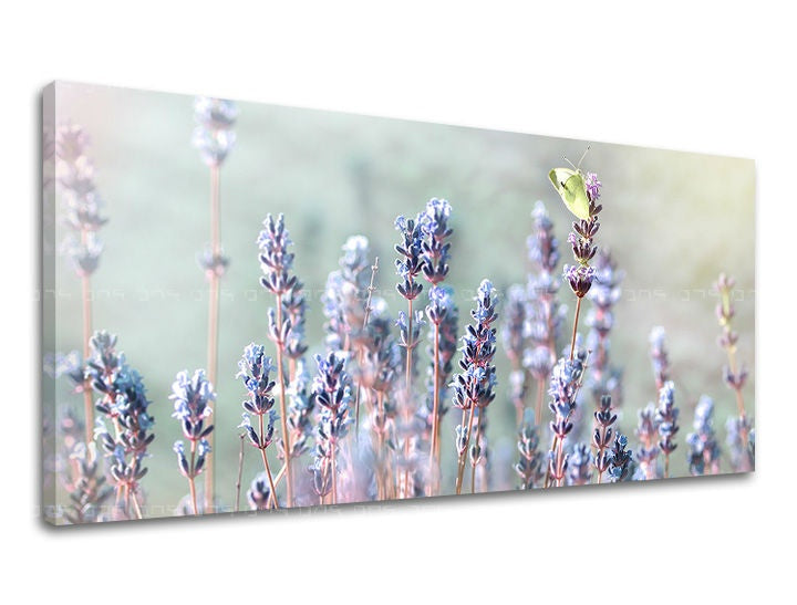 Klasičan slika na platnu s motivom PANORAMA CVEĆE, lavanda, leptir, polje, cveće u ljubičasto-zelenih nijansama, mirna atmosfera, pogodan za spavaće sobe – glavna