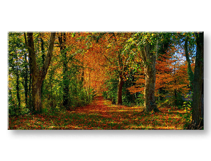 XOBST033E13-30x60-24h-1.jpg