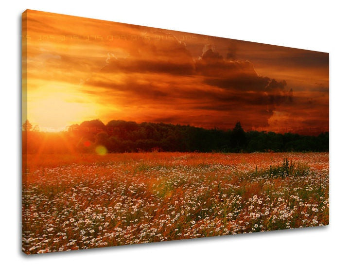 U boho stilu slika na platnu s motivom zalazak sunca, polje, drveće, nebo, pejzaž u belo-narandžastih nijansama, dramatična atmosfera, pogodan za dnevnog boravka – glavna