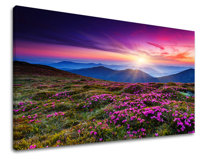 Klasičan slika na platnu s motivom planine, nebo, sunce, pejzaž, cveće u ljubičasto-narandžastih nijansama, mirna atmosfera, priroda i samoća, pogodan za dnevnog boravka – glavna