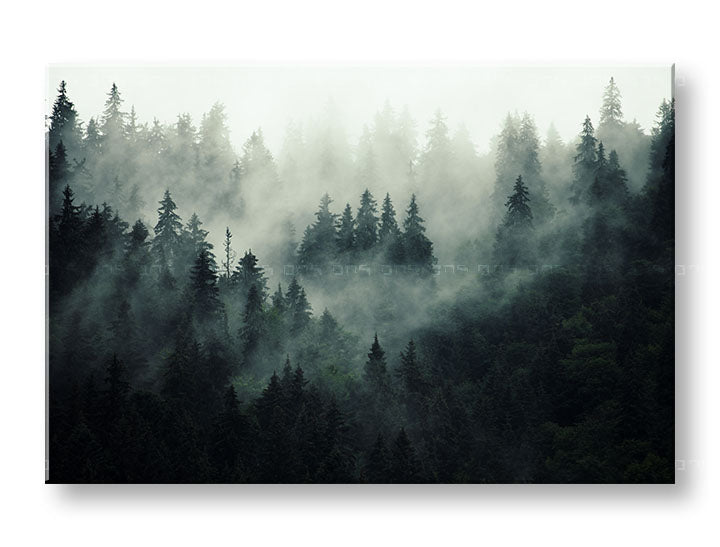 Klasičan slika na platnu s motivom HORY, magla, izmaglica, pejzaž, mapa u belo-sivih nijansama, svečana atmosfera, priroda i samoća, pogodan za kancelarije – glavna