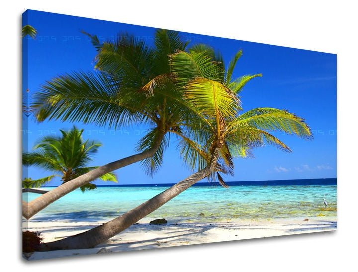 U boho stilu slika s motivom PLAŽA, palme, okean u belo-plavih nijansama | Slika za zid PLAŽA, priroda – pregled