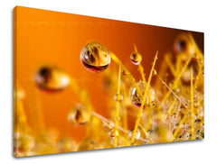 Klasičan slika na platnu s motivom RASTLINY, dečji motiv, mapa u narandžasto-zlatnih nijansama, topla atmosfera, priroda, pogodan za spavaće sobe | Slika za zid RASTLINY – glavna