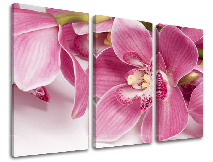 Vintage slika na platnu s motivom cveće, priroda u belo-ružičastih nijansama, elegantna atmosfera, priroda i prolećna atmosfera, trodelna izvedba – glavna