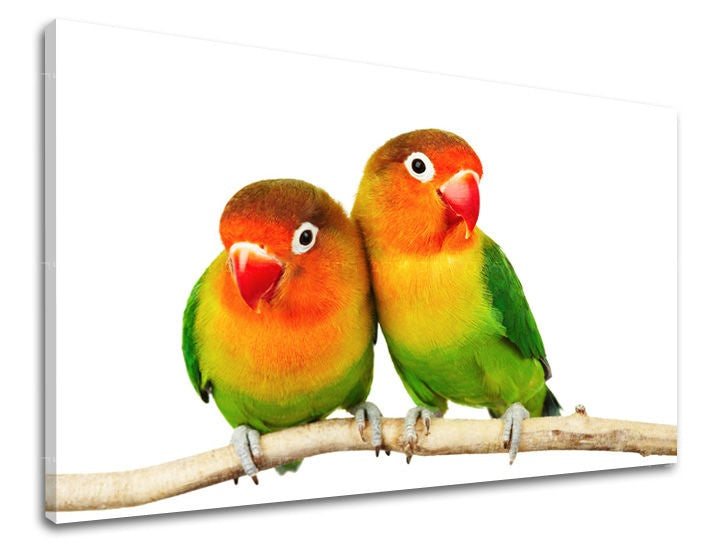Klasičan slika na platnu s motivom ptice, životinja u narandžasto-zelenih nijansama, vesela atmosfera, priroda i prolećna atmosfera, pogodan za dečije sobe – glavna
