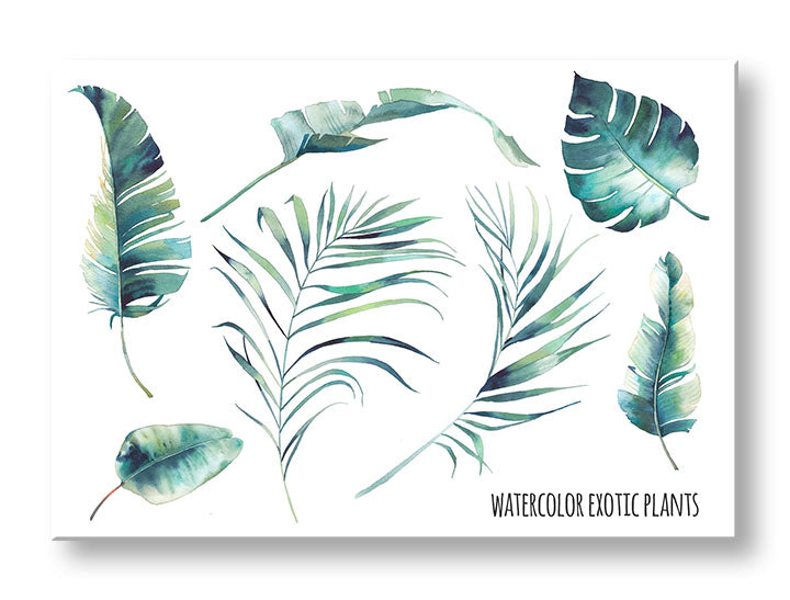 Moderan slika na platnu s motivom priroda u belo-plavih nijansama, sveža atmosfera, priroda i tropski raj, pogodan za kancelarije | Slika za zid s textom Watercolor exotic plants – glavna