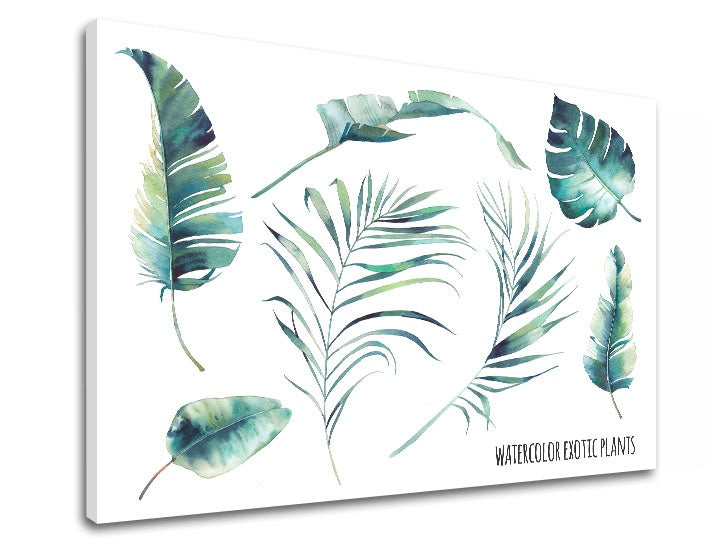 Moderan slika s motivom priroda u belo-plavih nijansama | Slika za zid s textom Watercolor exotic plants, priroda i tropski raj – pregled