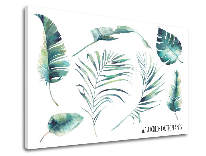 Moderan slika na platnu s motivom priroda u belo-plavih nijansama, sveža atmosfera, priroda i tropski raj, pogodan za kancelarije | Slika za zid s textom Watercolor exotic plants – proizvod